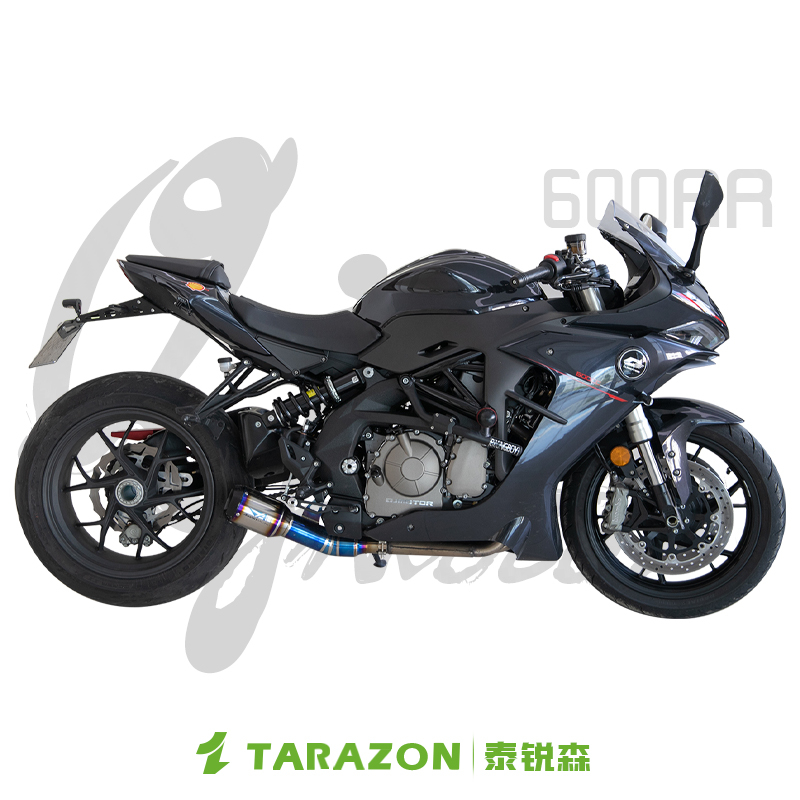 TARAZON泰锐森适配 QJmotor钱江赛600RR单摇臂爆改装件后平叉总成